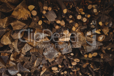 Close-up of firewood