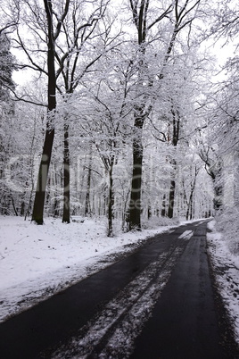 Leere Straße durch Winterwald