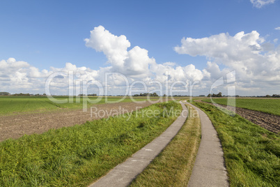 Feldweg bei Büsum, Schleswig-Holstein