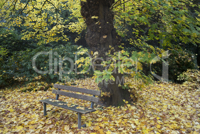 Herbst auf dem Ohlsdorfer Friedhof in Hamburg, Deutschland