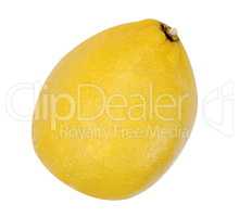 yellow raw lemon isolated