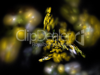 Digital Fractal Digital Fractal