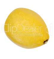 yellow raw lemon isolated