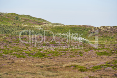 list auf sylt