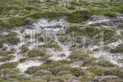 list auf sylt