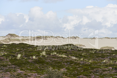 list auf sylt