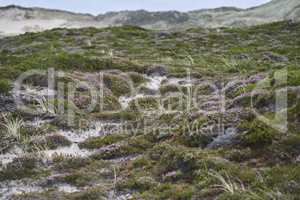 list auf sylt