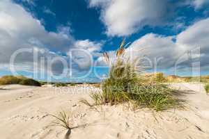 Landschaft mit Dünen auf der Insel Amrum