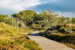 Landschaft in den Dünen auf der Insel Amrum