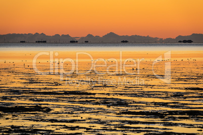 Sonnenaufgang am Wattenmeer auf der Insel Amrum