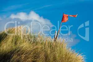 Landschaft mit Dünen auf der Insel Amrum