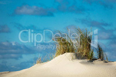 Landschaft mit Dünen auf der Insel Amrum