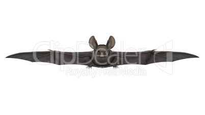 Flying bat - 3D render