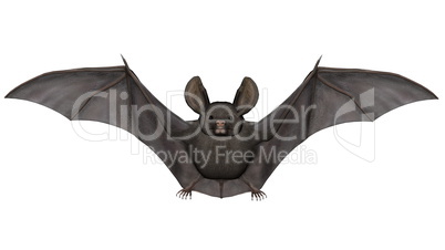 Flying bat - 3D render