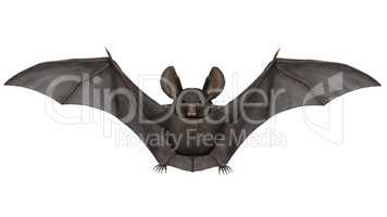 Flying bat - 3D render