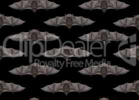 Flying bat in seamless black background - 3D render