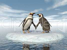 Penguins couple - 3D render