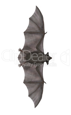 Flying bat - 3D render