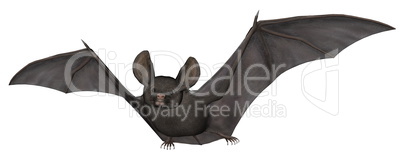 Flying bat - 3D render