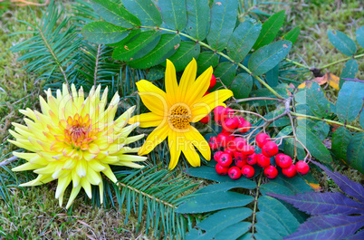 Herbst Dekoration Garten