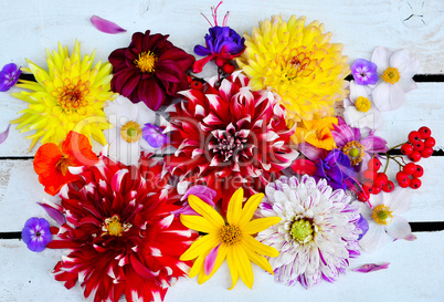 bunter blumenhintergrund auf weißem Holz