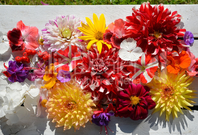 bunter blumenhintergrund auf weißem Holz