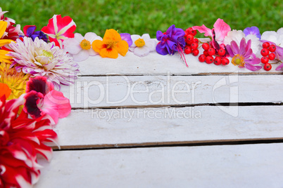 bunter blumenhintergrund auf weißem Holz