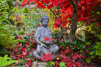 bunter Herbst im Garten an einem Teich mit einem Buddha