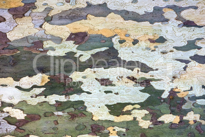 colored decorative tree bark as a background