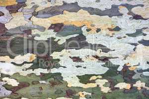 colored decorative tree bark as a background
