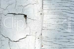 Old natural wooden shabby background close up