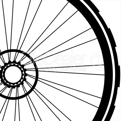 Bike wheel isolated on white background