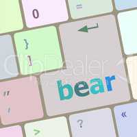 bear word on keyboard key, notebook computer button