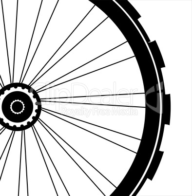 Bike wheel isolated on white background. bicycle with wheels tyre and spokes
