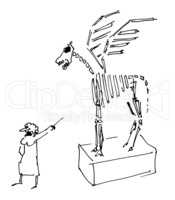 Pegasus Sceleton In Museum