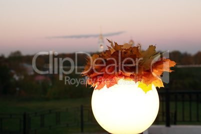 Autumn Leaves On Lamp