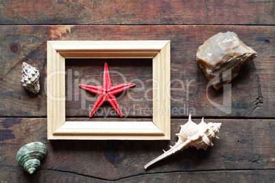 Starfish In Frame