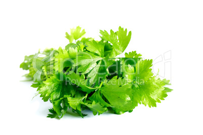 Parsley On White