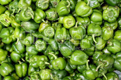 Capsicum Background