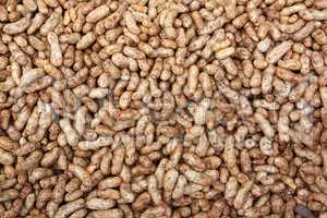 GRoundnuts Background