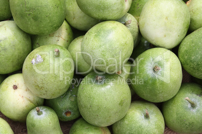 Guava Background