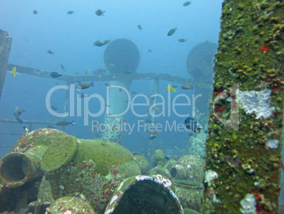 massive shipwreck, sits on a sandy seafloor in bali