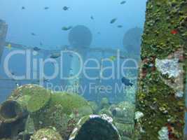 massive shipwreck, sits on a sandy seafloor in bali