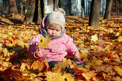 baby plays with Autumn leaves in the park