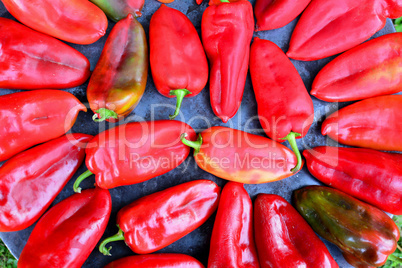 Red peppers on sheet cooker close up