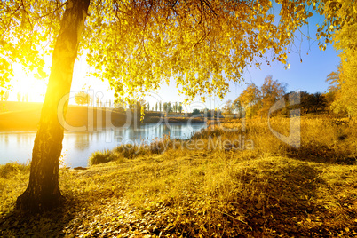 Colorful autumn on river