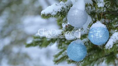 Christmas Balls are Shining on the Snow-Covered Spruce