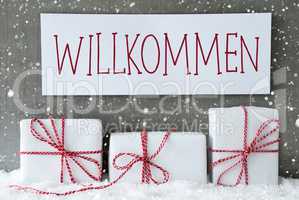 White Gift With Snowflakes, Willkommen Means Welcome