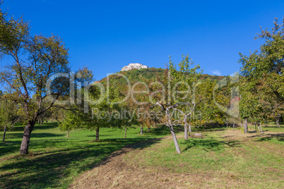 meadow and castle