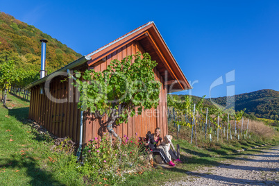 hiking in the vineyards